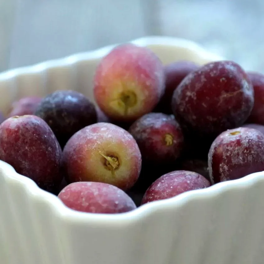 Frosted Grapes
