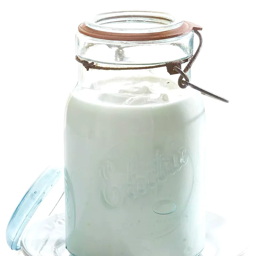 Homemade Plain Yogurt