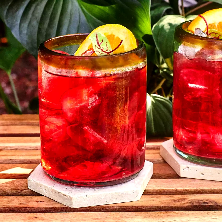 Sorrel Spritz Mocktail