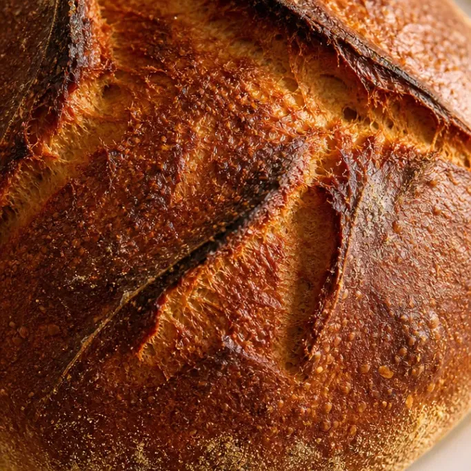 panera tomato basil bread recipe